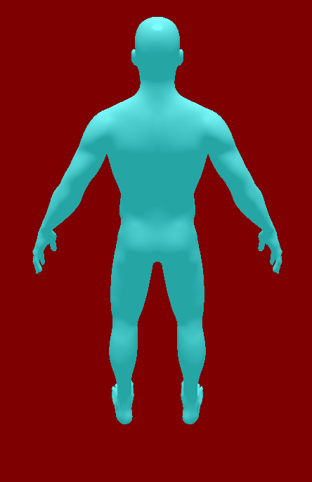 Virtual presence reconstruction preview