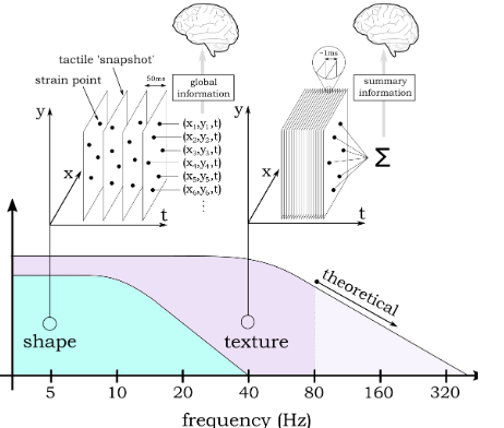 Spatial Profile Research
